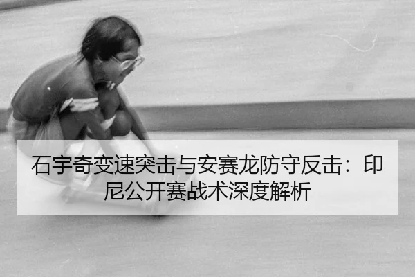 shi-yu-qi-bian-su-tu-ji-yu-an-sai-long-fang-shou-fan-ji-yin-ni-gong-kai-sai-zhan-shu-shen-du-jie-xi-3-316.jpg