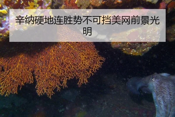 xin-na-ying-di-lian-sheng-shi-bu-ke-dang-mei-wang-qian-jing-guang-ming-2-491.jpg