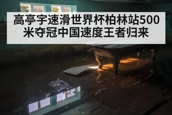高亭宇速滑世界杯柏林站500米夺冠中国速度王者归来